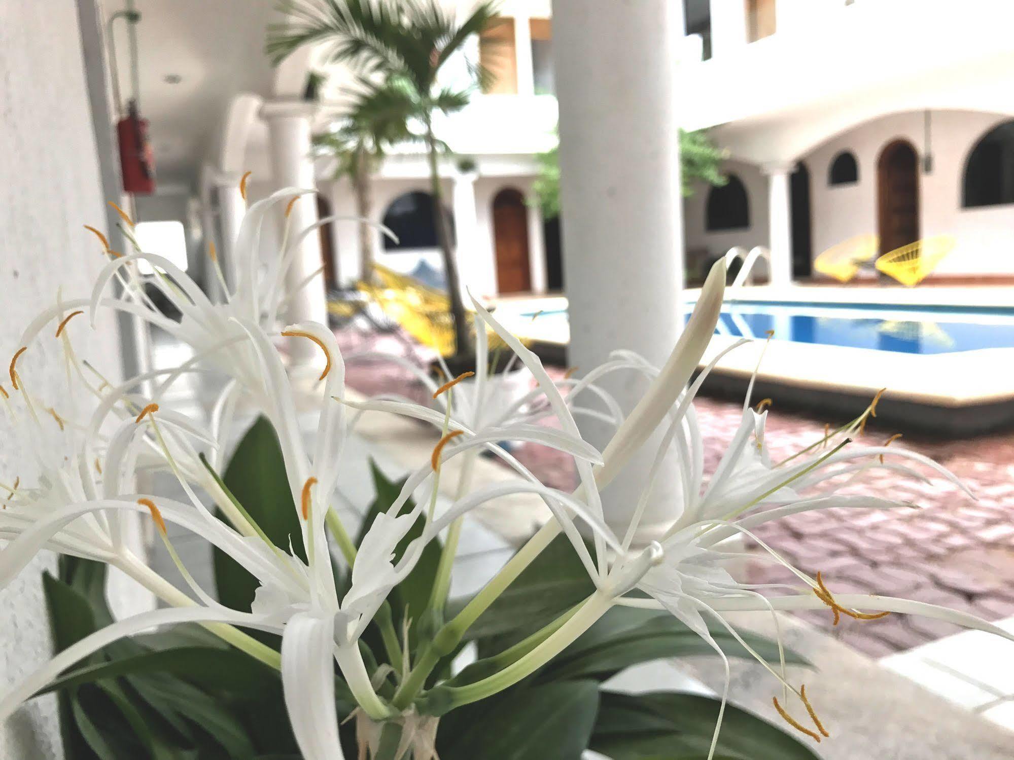 Hotel Villas San Ignacio Playa del Carmen Eksteriør bilde