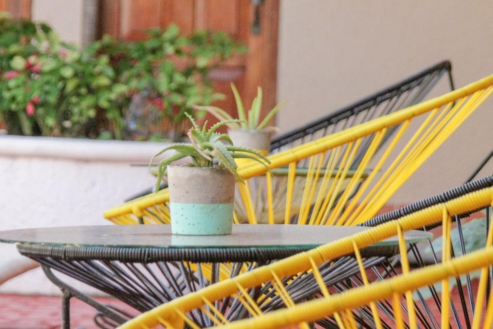 Hotel Villas San Ignacio Playa del Carmen Eksteriør bilde